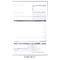2401097.jpg