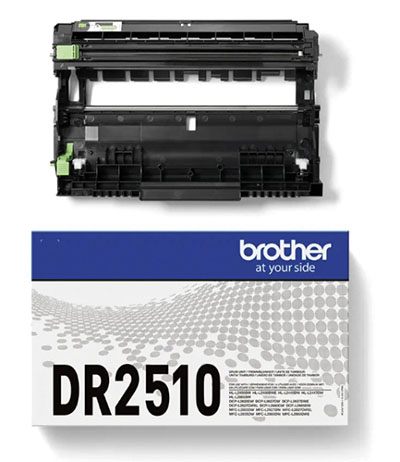 2518834.jpg
